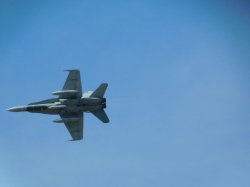 IMG_3429.JPG