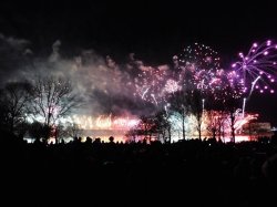 IMG_3537.JPG