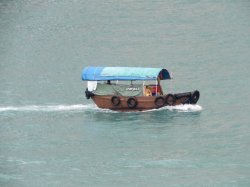 IMG_1179.JPG