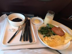 auckland to bne.JPG