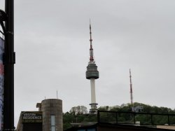 IMG_1198.JPG
