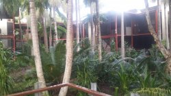20180425_160400.jpg