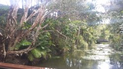 20180425_160626.jpg