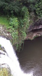 20180428_103249.jpg