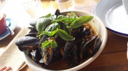 20180427_124449.jpg