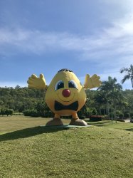 AE07A68D-59D6-4CF7-B1C7-B69320D51AA7.jpeg