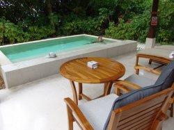 Deluxe Beach Villa - Private Plunge pool.JPG