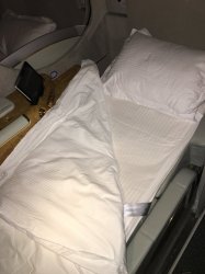 IMG_7355.jpg