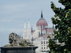 281439E3-8D12-4C76-B120-D59132D6750B.jpeg