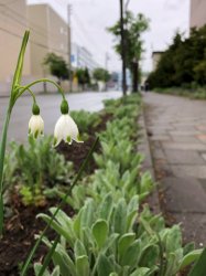IMG_0159.JPG