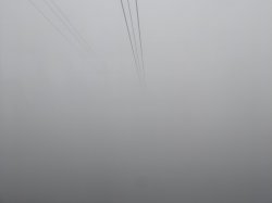 IMG_20180514_103259.jpg