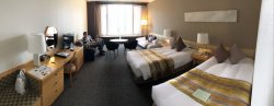 IMG_0919.JPG IMG_0919.JPG