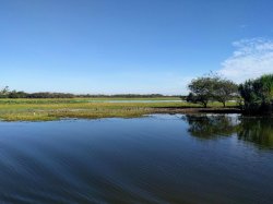 IMG_20180621_093036.jpg