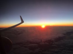 0C537702-4551-46EA-9C3F-A89F9AE457D8.jpeg