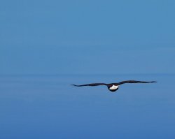 7E2668FF-9C43-498A-BE30-2921EBB105CE.jpeg