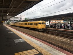AFC8A835-DB98-4D0E-AA01-6A40D525007E.jpeg AFC8A835-DB98-4D0E-AA01-6A40D525007E.jpeg