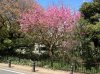 ImageUploadedByAustFreqFly1366374131.563394.jpg ImageUploadedByAustFreqFly1366374131.563394.jpg