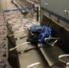 LAX Bed LoL.JPG LAX Bed LoL.JPG