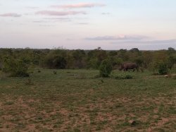 IMG_20161206_181307.jpg