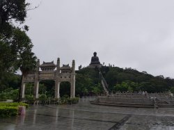 20180715_114152.jpg
