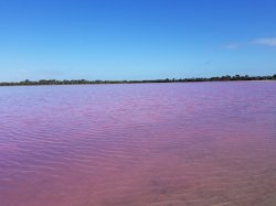 20180807_101211.jpg