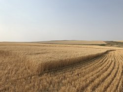 E440A0AF-B0D9-4A6D-AD82-637F6CB374E8.jpeg