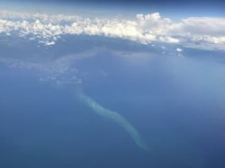 63825DED-F783-47F6-8B04-A5CD2F0BFAB0.jpeg