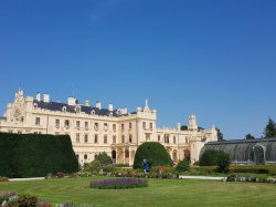 20180803_110623.jpg