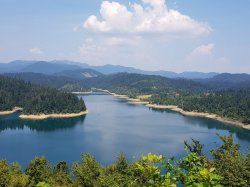 20180807_114353.jpg