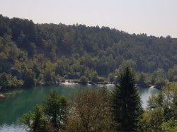 20180807_095156.jpg