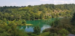 20180806_132747.jpg