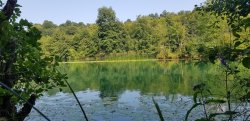 20180806_154949.jpg