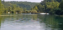 20180806_155051.jpg