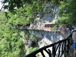 IMG_5419.JPG