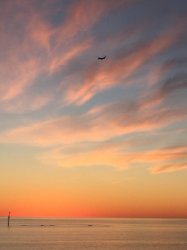 IMG_6718.JPG