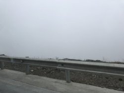 IMG_3487.JPG