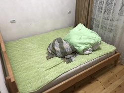 DAD91319-D956-4E86-99A9-E10CD5461CB5.jpeg