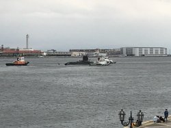 F053CA26-336C-46B1-9C5C-0A1EC0BE33CC.jpeg