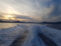 20180913_183929.jpg