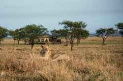 20180928- safari-616-Edit.jpg
