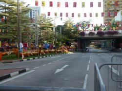 P1000061.jpg