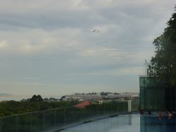 P1090181.jpg