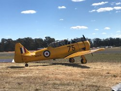 IMG_6904.jpg IMG_6904.jpg