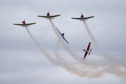 _D800257.jpg _D800257.jpg