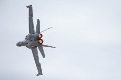 _D800451.jpg _D800451.jpg