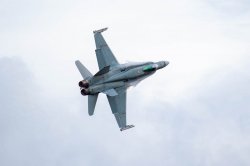 _D800578.jpg _D800578.jpg