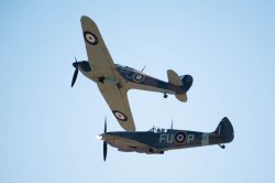 _D809858.jpg _D809858.jpg