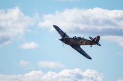 _D809923.jpg _D809923.jpg