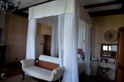 20180930- safari-205.jpg