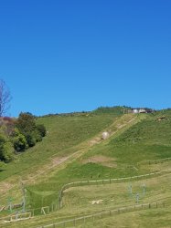 20181019_114726.jpg